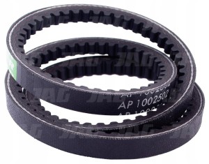 AP1002502 PAS OPTIBELT AGRO POWER