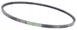 AP1002299 PAS KLINOWY OPTIBELT AGRO POWER