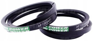 AP1002421 PAS OPTIBELT AGRO POWER