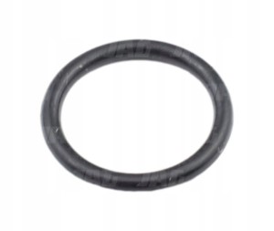 180098 ORING ORYGINAŁ CLAAS
