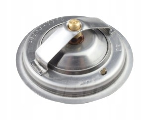 JAG99-0256 TERMOSTAT 14462128M91.01