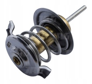 JAG99-1317 TERMOSTAT 04204796.02