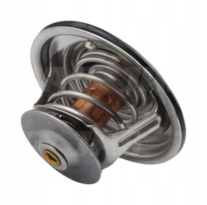 JAG99-0257 TERMOSTAT 143-55.02