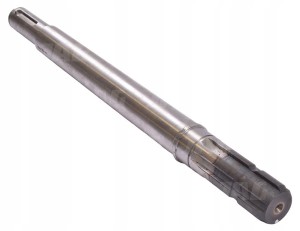 JAG20-0074 WAŁEK GŁÓWNY GŁOWICY