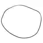 R126399 Oring