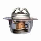 V836015156 Termostat