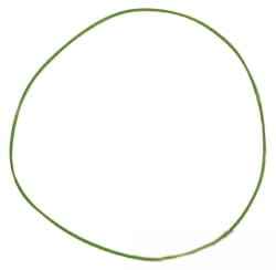 F170200210030 Oring