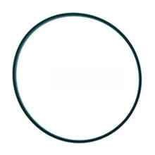 3815651M1 Oring