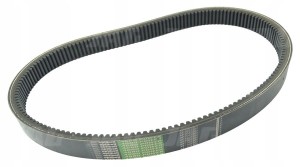 AP1001200 PAS OPTIBELT AGRO POWER