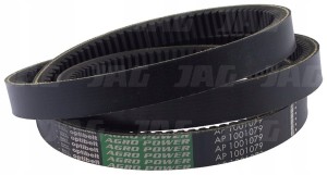 AP1001079 PAS OPTIBELT AGRO POWER