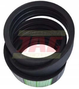 AP1001793 PAS OPTIBELT AGRO POWER