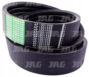 AP1001958 PAS OPTIBELT AGRO POWER