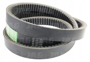AP1001450 PAS WARIATOROWY OPTIBELT AGRO POWER
