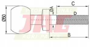 JAG98-0567 SWORZEŃ KULOWY
