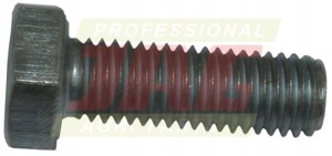 238419 ŚRUBA 238419.01