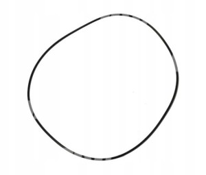 215896 ORING ORYGINAŁ CLAAS