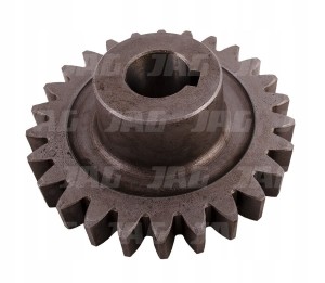 JAG04-0562 ZĘBATKA 668822.01