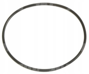 211989 ORING ORYGINAŁ CLAAS