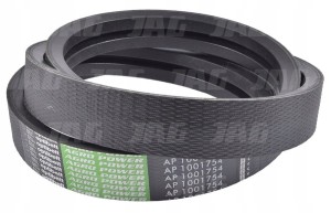 AP1001754 PAS OPTIBELT AGRO POWER