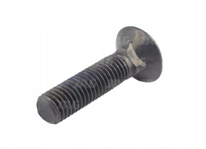ŚRUBA PN82402.12X50 PŁUŻNA 10.9