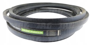 AP1000875 PAS OPTIBELT AGRO POWER