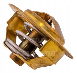2485C021 TERMOSTAT 2485C021