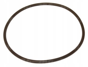 JAG99-1147 O-RING 6489-6