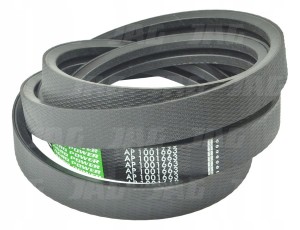 AP1001663 PAS OPTIBELT AGRO POWER