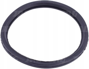R521548 USZCZELNIACZ TERMOSTATU