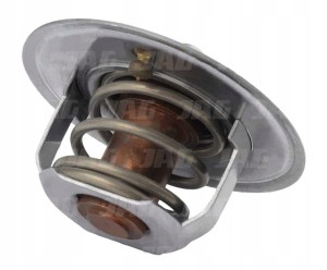 JAG99-1183 TERMOSTAT 02100071.01