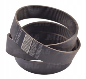 PL02235X12 PAS RIB-BELT