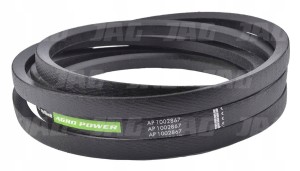AP1002867 PAS KLINOWY OPTIBELT AGRO POWER