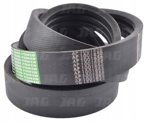 AP1001858 PAS OPTIBELT AGRO POWER