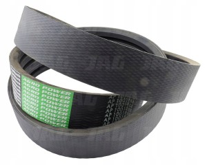 AP1001829 PAS OPTIBELT AGRO POWER