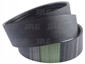 AP1001293 PAS OPTIBELT AGRO POWER