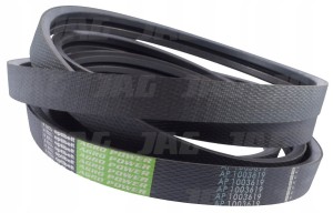 AP1003619 PAS OPTIBELT AGRO POWER