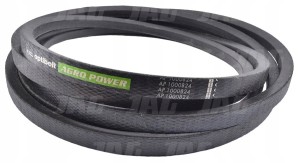 AP1000824 PAS OPTIBELT AGRO POWER