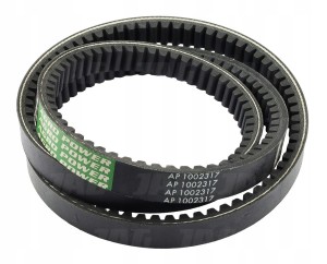AP1002317 PAS OPTIBELT AGRO POWER