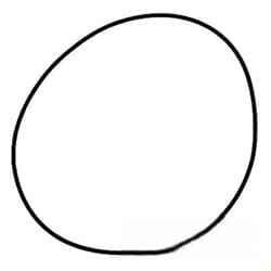 121c2855025acffadf20e50b7f9f5bb0