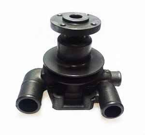 3905269M91 Pompa Wody