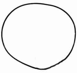 5105538 Oring