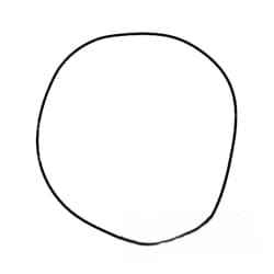 6005009866 Oring
