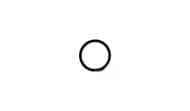 128825  ORING