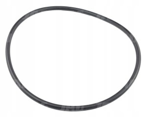 JAG99-1147 O-RING 6489-6.01
